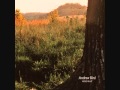 Andrew Bird - Tenuousness