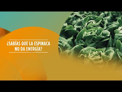 ¿SabÃas que la espinaca no da energÃa?