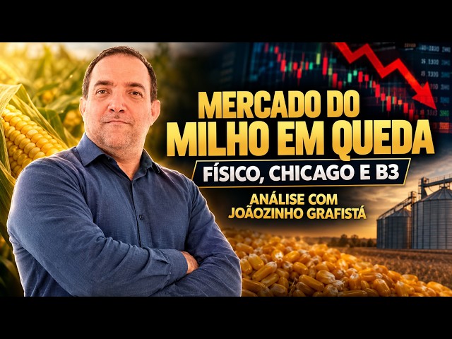 Mercado do Milho em Queda - Físico, Chicago e B3 – Análise com Joãozinho Grafista