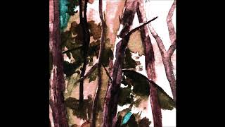 Hop Along - Not Abel