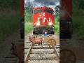 Big Snake Stop The High Speed Train Shorts