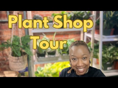 NYC's Must-See Plant Shop: Greenery Unlimited!