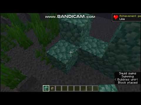 Cara mengaktifkan Conduit/How to activate Cobduit Minecraft