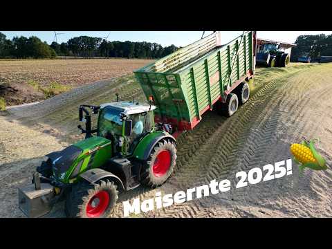 Maisernte 2025 🌽 für Milchviehbetrieb mit 2 Häckselketten! JohnDeere & Fendt Traktoren/ LU Dettmer
