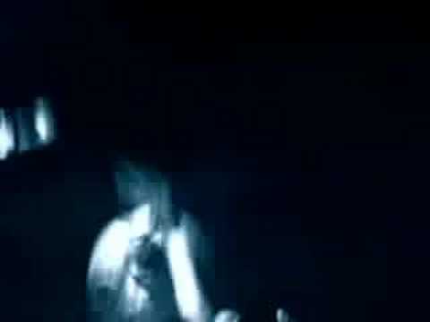 Suburban Auto Group Trunk Monkey #8 - Alien Abduction