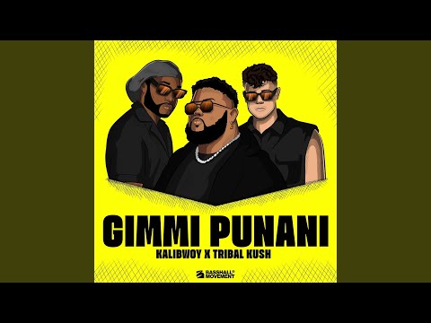 Gimmi Punani