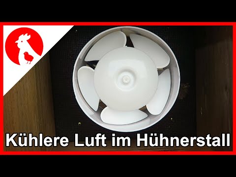 057 ☀️ Avoiding heat build-up in the chicken coop - Heat in the chicken coop - Jensman and the Hu...