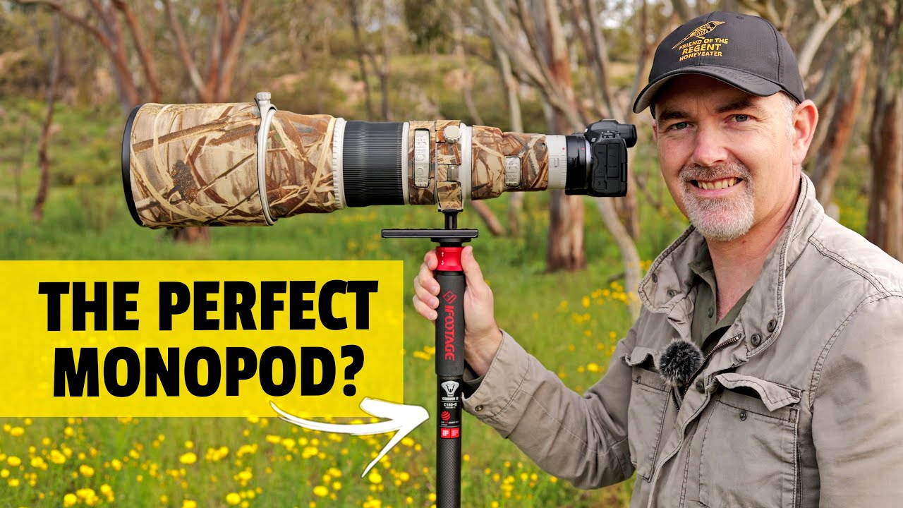 Monopod for WILDLIFE Photography? iFootage Cobra 2 C180 II Field Review