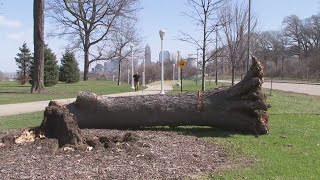 High winds causing power outages across Northeast Ohio