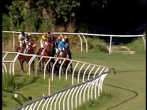 Galoppo 08/06/2018 - 5ª corsa