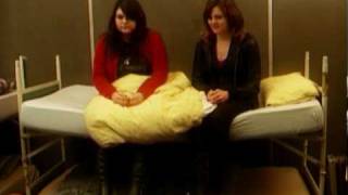 The Donnas - Interview // Tribal Area