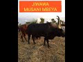 JIWAWA UJUMBE WA NA MBEYA DPR MBASHA STUDIO 2022