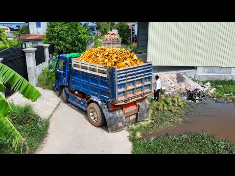 Start​ Opening Amazing Project!! Landfill Delete Flooded Area By Skills Dozer Pushing Soil