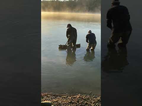 Lacul Cetariu. Best Crap 37,7 kg