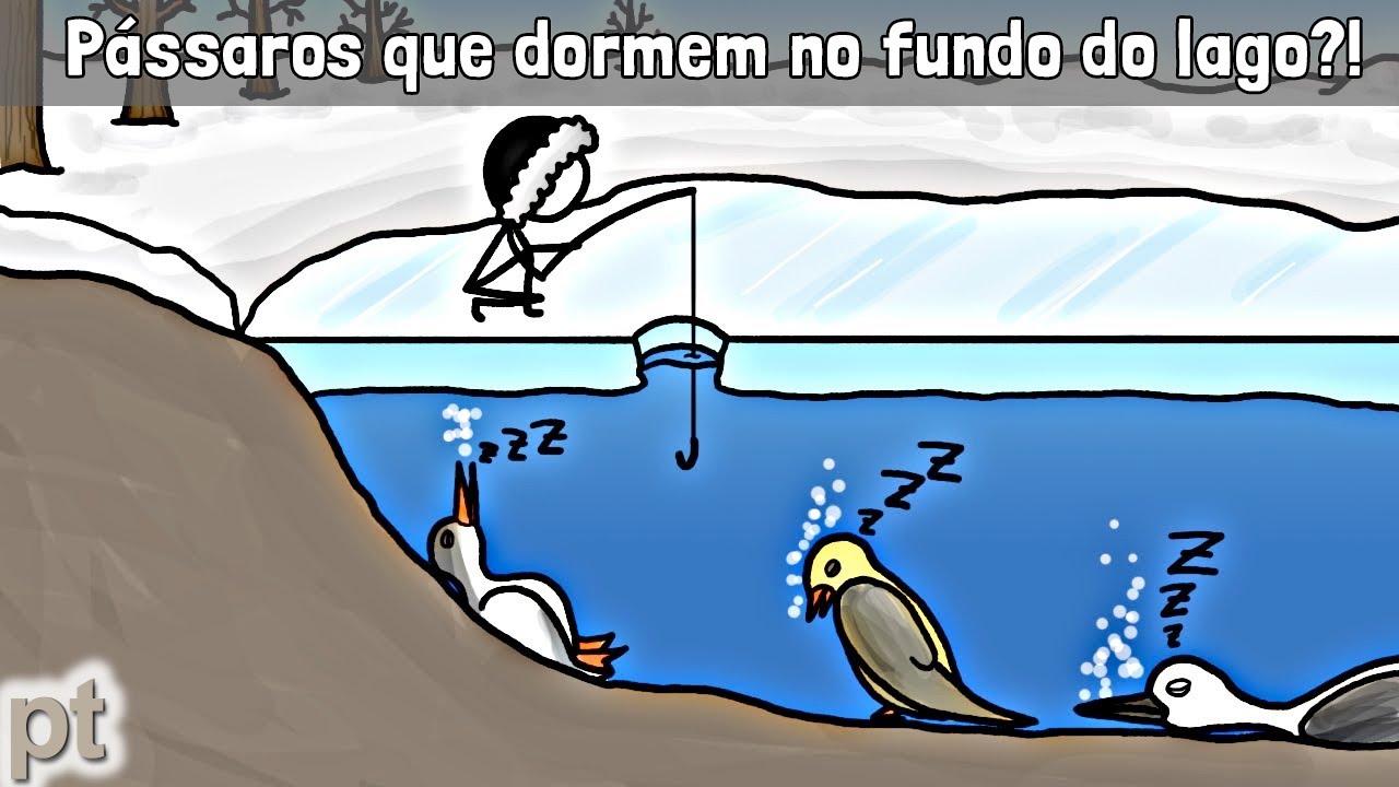 Pra onde os pássaros vão entre o outono e a primavera? | Minuto da Terra