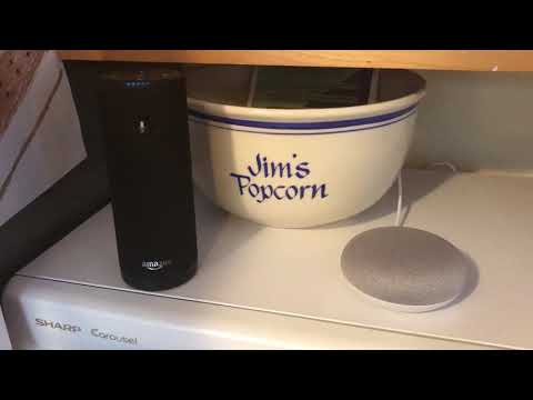 How different Alexa and Google Play are singing Happy Birthday!!!