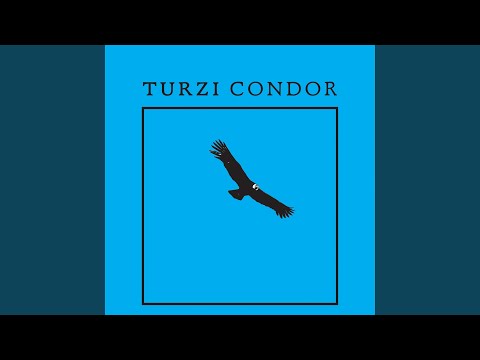 Condor (Condom Remix, by Turzi Electronique Expérience)