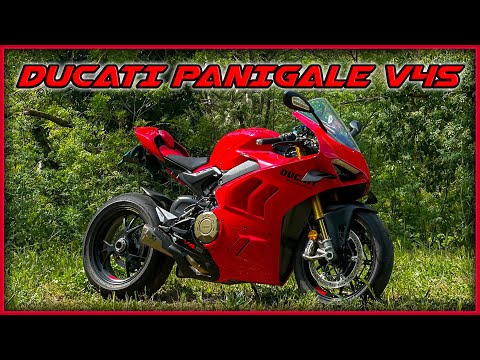 A ROAD-HOMOLOGATED GP MOTORCYCLE! DUCATI PANIGALE V4S