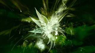Devotion (A Bit More Lovin') [Seamus Haji Soul Love Remix]