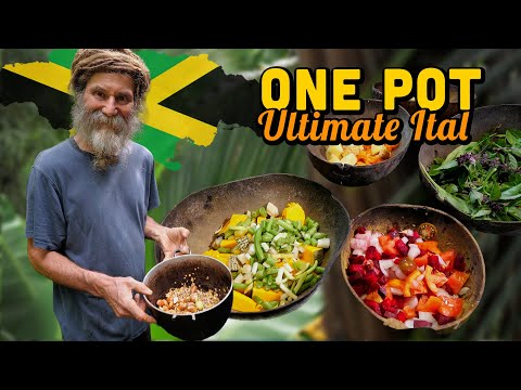 Ultimate Ital! Tommy's ONE POT Wonder!