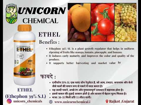 Ethephon 39 Sl ETHEL By Unicorn Chemical