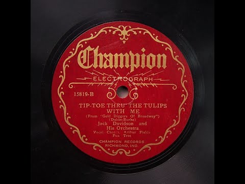 Tip - Toe Through The Tulips With Me - Ernie Golden and His (Hotel McAlpin) Orchestra (1929)