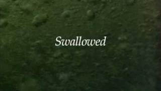 Swallowed