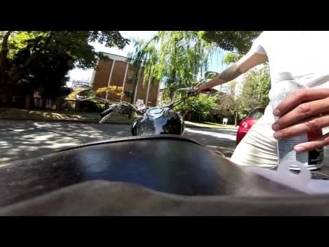 Seafoam motorcycle carb cleaning review (Yamaha V Star)