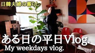 [カナダ在住日韓夫婦]平日vlog。ベビーのパスポート写真を撮りに行く。