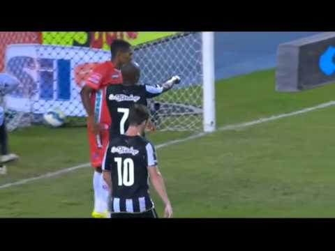 botafogo capivariano