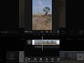 How To Stable Video In Capcut
