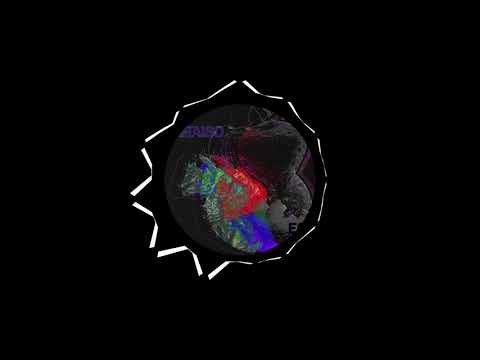 Pol Paraíso - She Hates You (Original Mix)