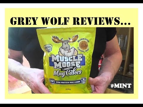 download lagu mp3 mp4 Muscle Moose Review, download lagu Muscle Moose Review gratis, unduh video klip Muscle Moose Review