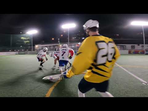 NBLL2021 - GAME #17 - TJ MALEŠICE x LCC WOLVES