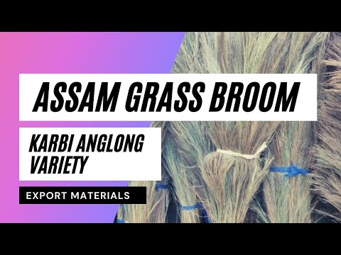 Grass plastic phool jhadu