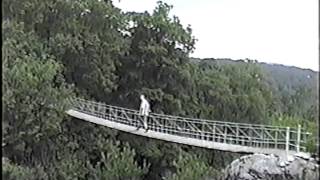 Sport Murphy -  Bird In The House (from Uncle)