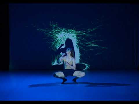 Rosetta Demo Footage