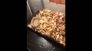 Skink Reptiles Videos