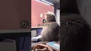 【スカッと】「ゲーム実況者になる！」そういった前田さんに待ち受けていた未来は…ｗ