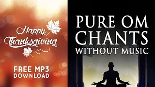 OM Mantra Chanting  108 Times  Without Music Pure 