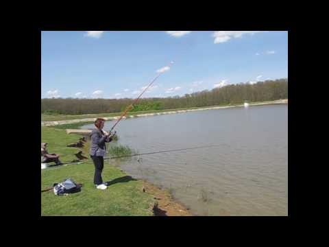 Bea la pescuit - Balta de la Gepiu