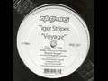 Tiger Stripes - Voyage (Original Mix)