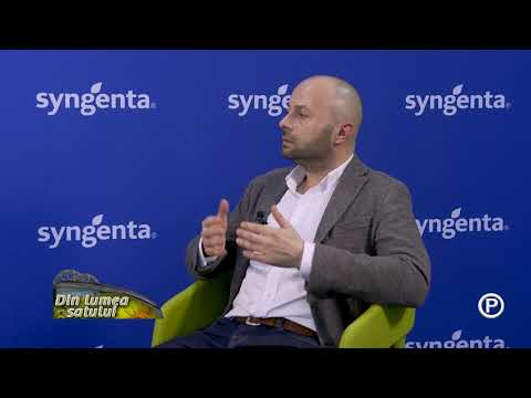 Syngenta_Tehnologii în cultura de floarea-soarelui