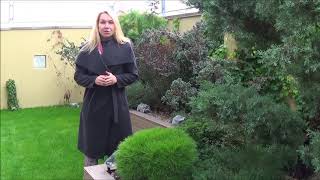 Красивый газон на кровле - это возможно!