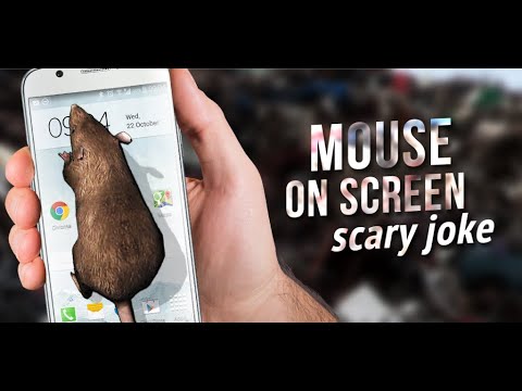 Mouse on Screen Scary Joke Video