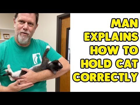 Man Wholesomely Explains How To Correctly Hold A Cat
