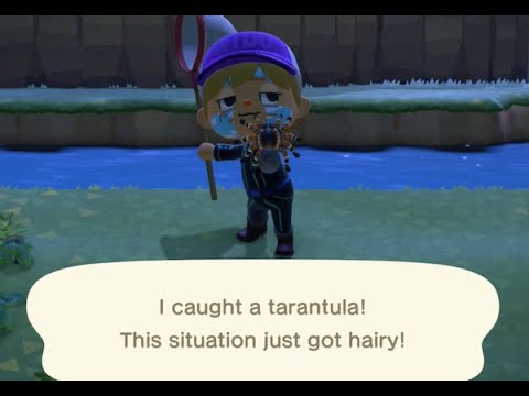 How To Catch Tarantula & Earn 8,000 Bells!!