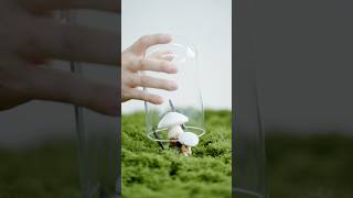 [창밖은 겨울] 11월 24일 개봉 | 곽민규&한선화