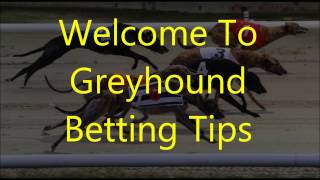 Greyhound Racing Betting Tips 2