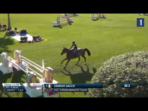 D'AFRIQUE NEWCASTLE Z - 2018 - Dominator 2000 Z x Quidam de Revel